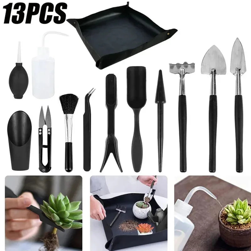 Hauspflanzen Pflege Set